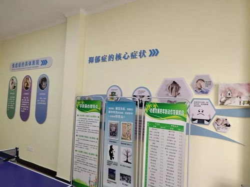 淳安構建心理健康服務網絡 24個社會心理服務站與431個心理咨詢室全面覆蓋